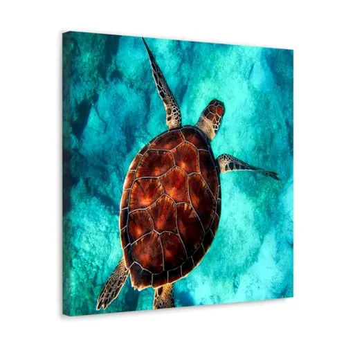 GADGETS WRAP Canvas Gallery Wrap Framed for Home Office Studio Living Room Decoration (10x10inch) - Turtle In Sea Aerial