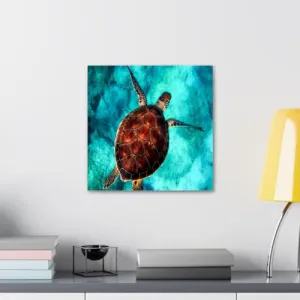 GADGETS WRAP Canvas Gallery Wrap Framed for Home Office Studio Living Room Decoration (10x10inch) - Turtle In Sea Aerial