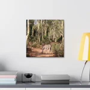 GADGETS WRAP Canvas Gallery Wrap Framed for Home Office Studio Living Room Decoration (10x10inch) - Zebra In Forest