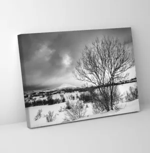 GADGETS WRAP Canvas Gallery Wrap Framed for Home Office Studio Living Room Decoration (11x9inch) - Tree On Snow Ground