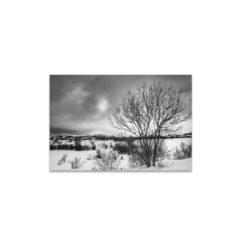 GADGETS WRAP Canvas Gallery Wrap Framed for Home Office Studio Living Room Decoration (11x9inch) - Tree On Snow Ground