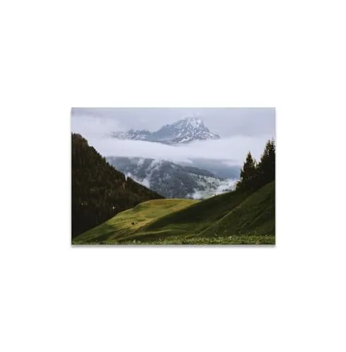 GADGETS WRAP Canvas Gallery Wrap Framed for Home Office Studio Living Room Decoration (14x11inch) - Grass Covered Hills