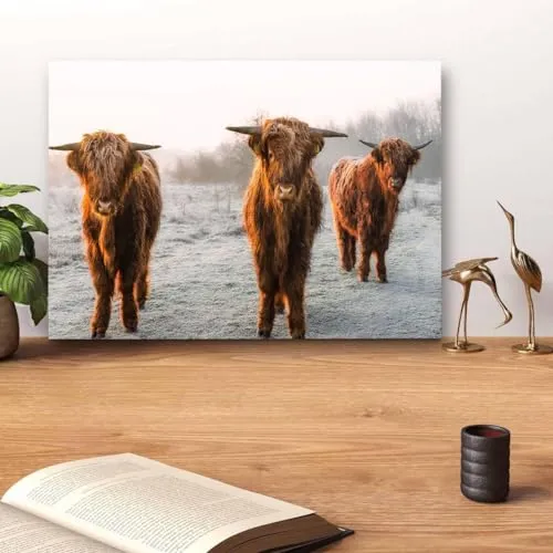 GADGETS WRAP Canvas Gallery Wrap Framed for Home Office Studio Living Room Decoration (14x11inch) - Highland Cow Herd