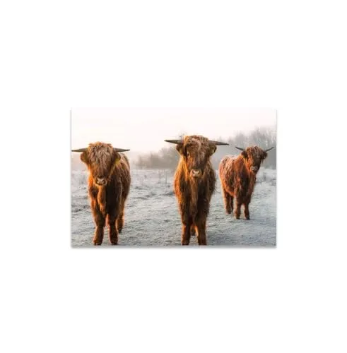 GADGETS WRAP Canvas Gallery Wrap Framed for Home Office Studio Living Room Decoration (14x11inch) - Highland Cow Herd