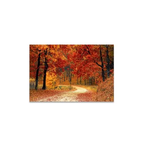 GADGETS WRAP Canvas Gallery Wrap Framed for Home Office Studio Living Room Decoration (14x11inch) - Red Autumn Forest