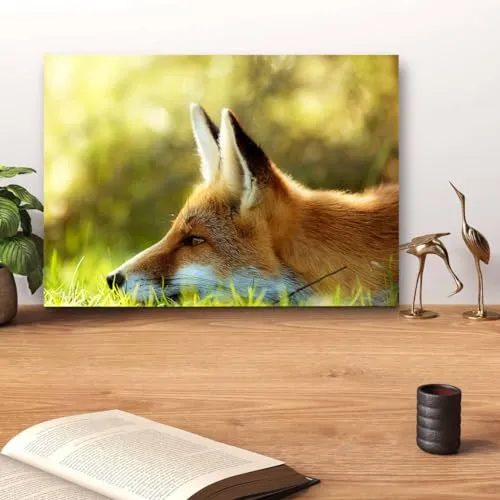 GADGETS WRAP Canvas Gallery Wrap Framed for Home Office Studio Living Room Decoration (14x11inch) - Summer Fox