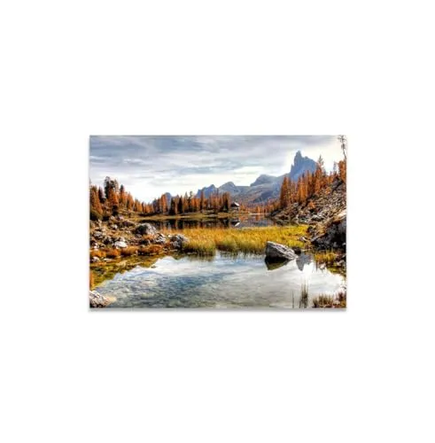 GADGETS WRAP Canvas Gallery Wrap Framed for Home Office Studio Living Room Decoration (14x11inch) - Swamp In Forest Dolomites View