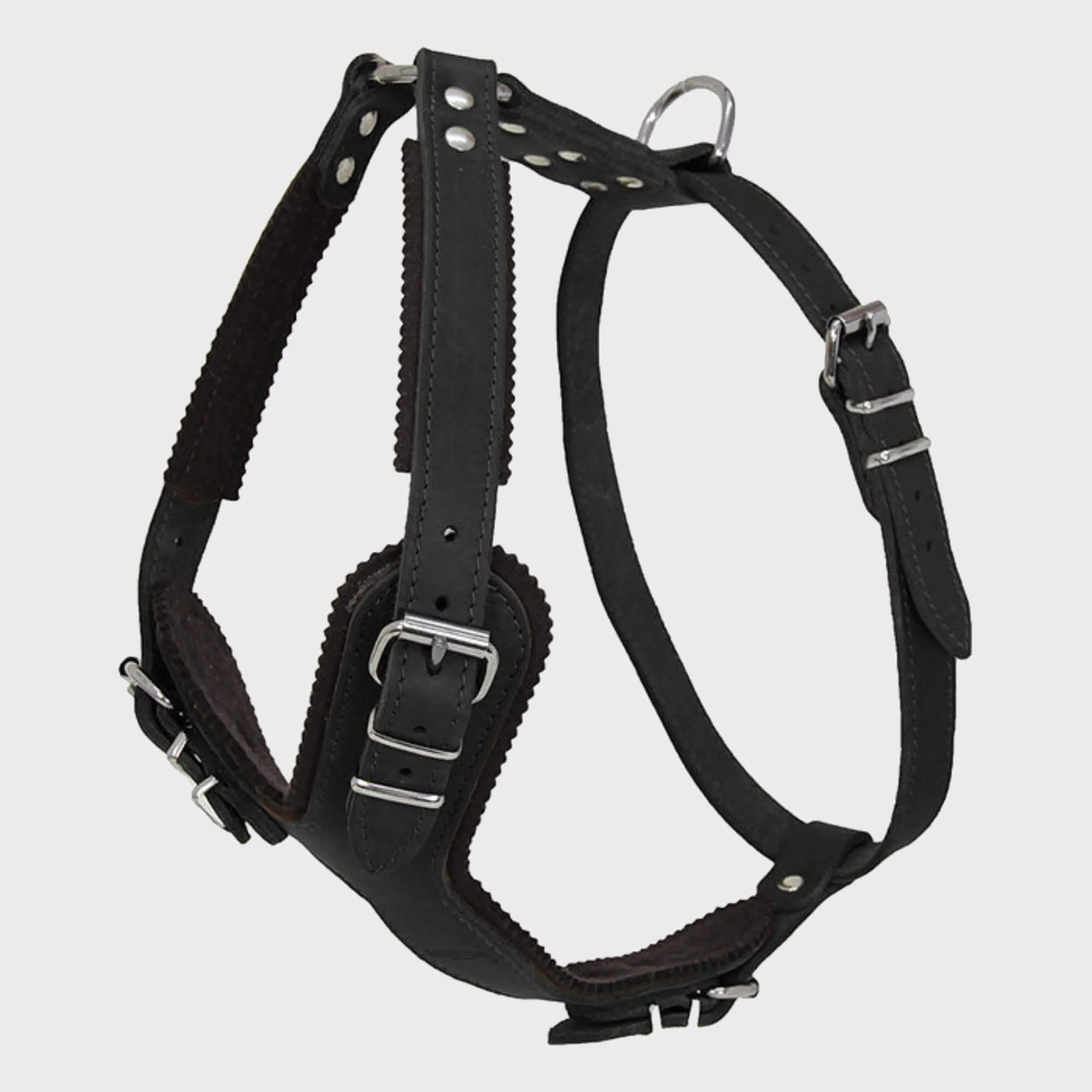 Ox Leather Harness