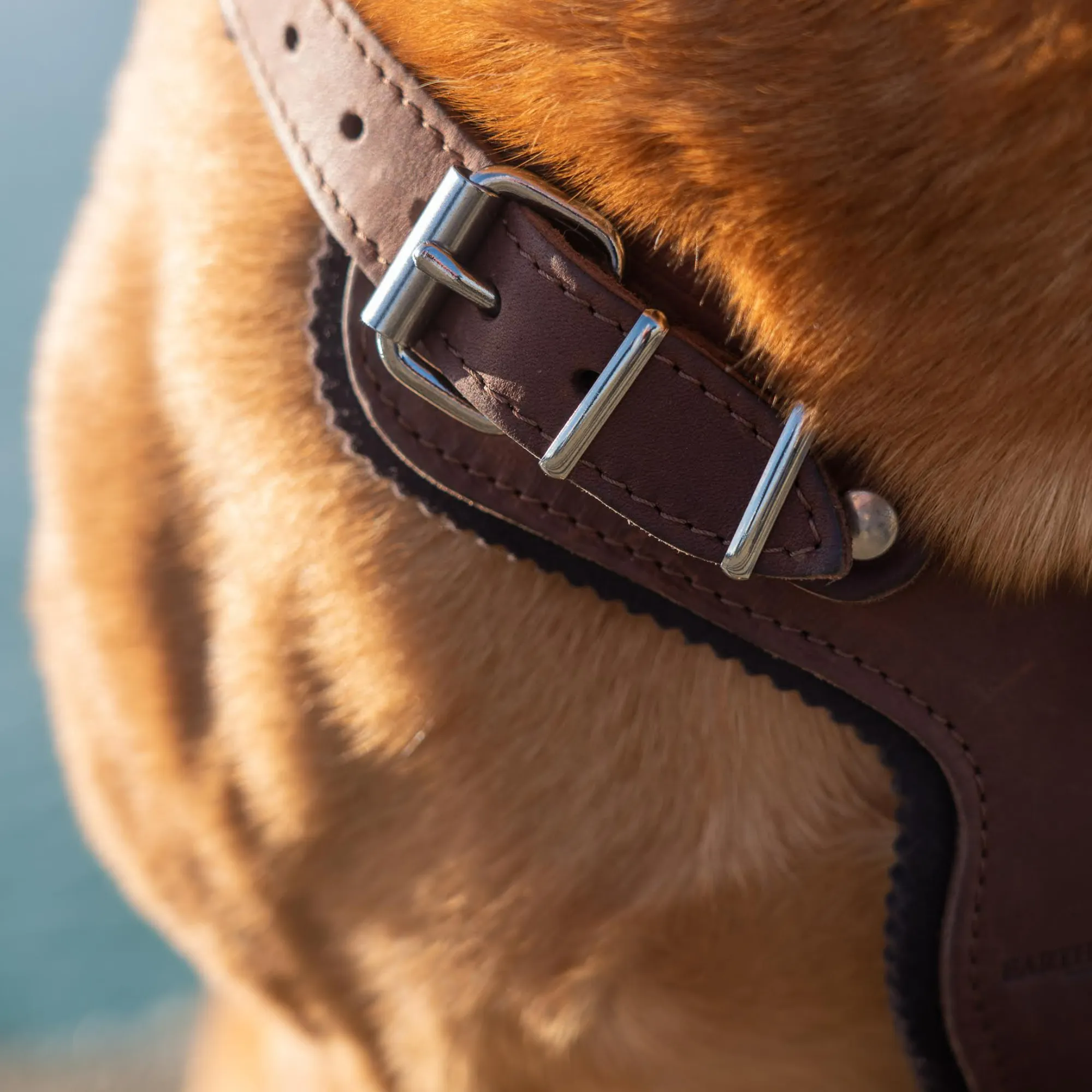 Ox Leather Harness