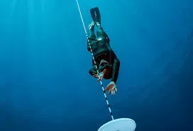 PADI Freediving Course